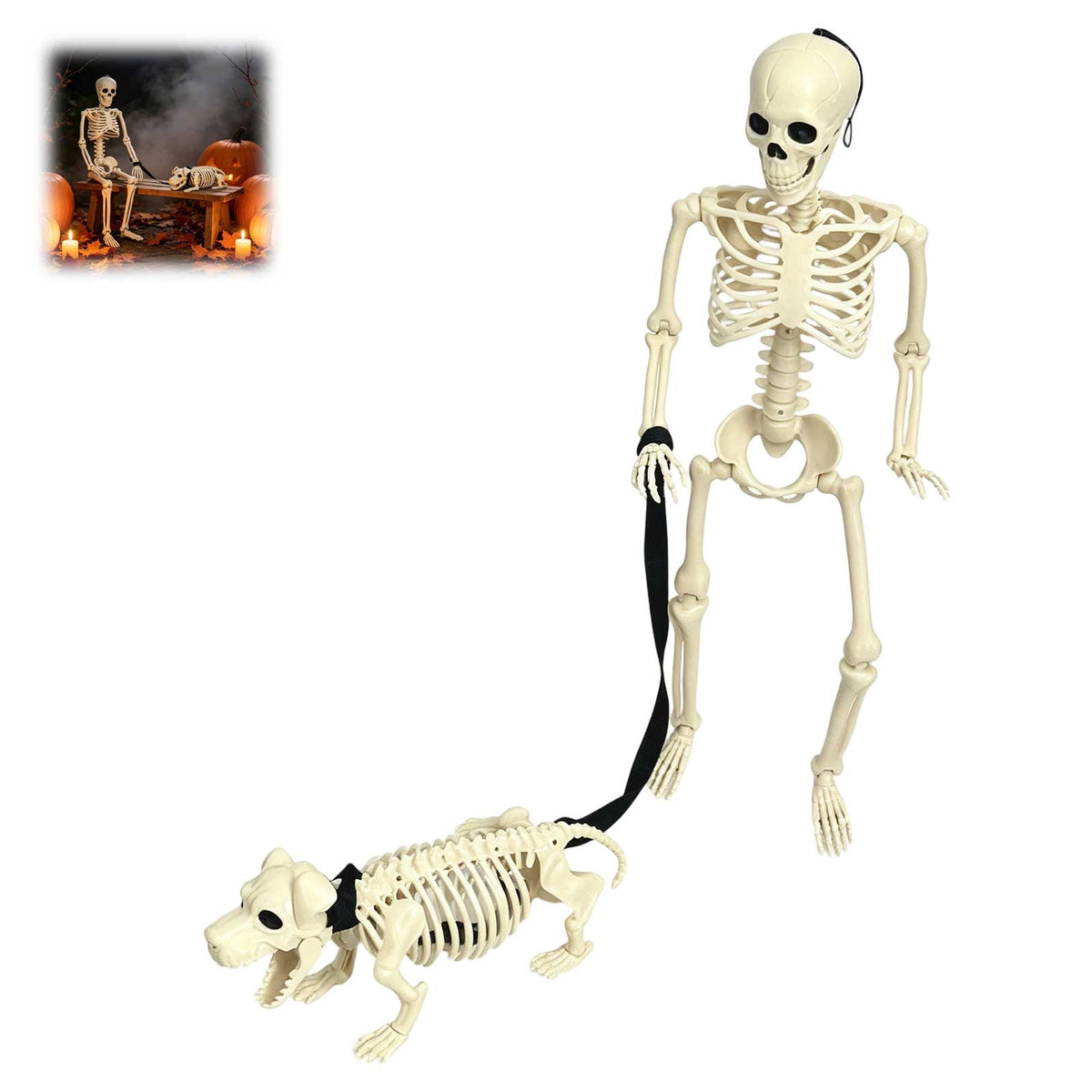 Human Dog Skeleton Halloween Decor, Posable Design for Indoor and Outdoor Seasonal Ornament